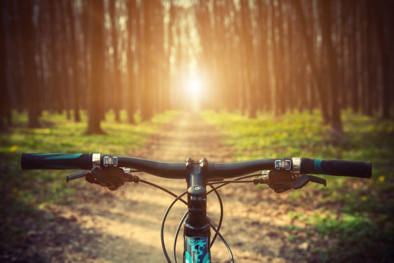 Pravidlá pre bicykle platia aj lese. Zdroj: Shutterstock
