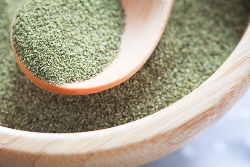 Kelp. Zdroj: Shutterstock