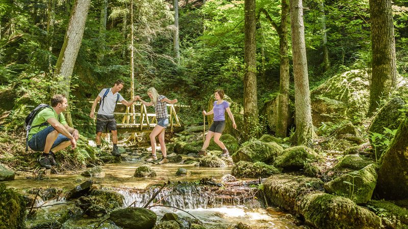 Dunajská cesta, oblasť Bad Kreuzen Wolfsschlucht. Foto: ©WGD Donau Oberösterreich Tourismus/Hochhauser