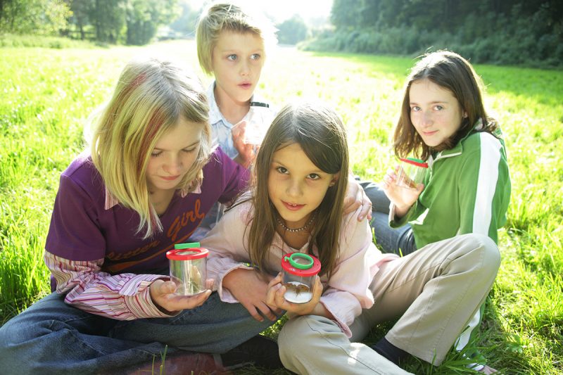 Dunajská cesta a skúsenosti z prírody. Foto: ©WGD_Weissenbrunner