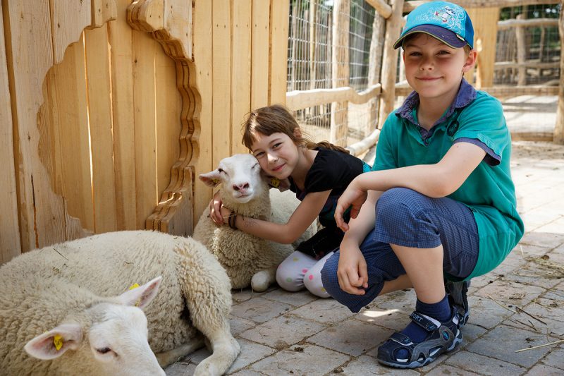 Ak máte radšej tieň, môžete sa napríklad hrať na malej farme so zvieratami. Foto: ©Hafenscher