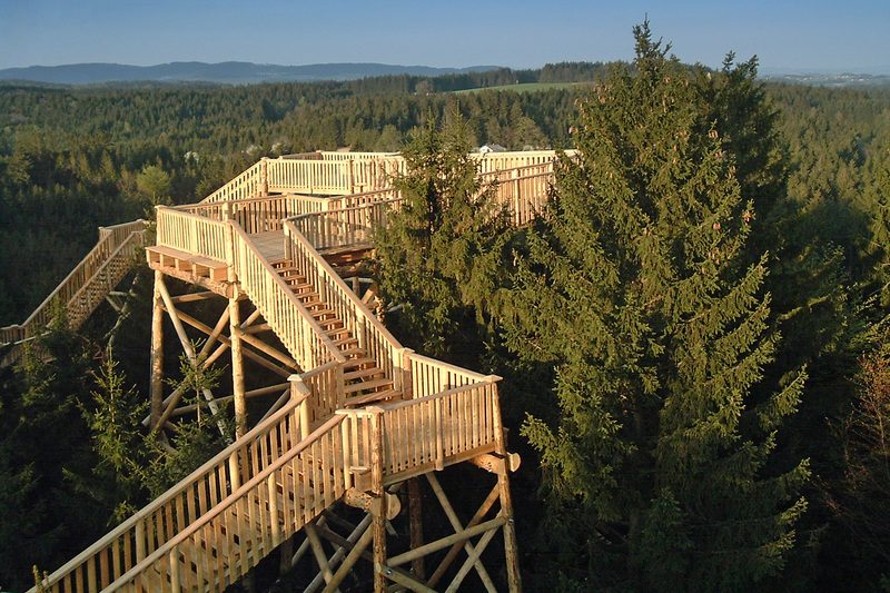 Chodník v korunách stromov. Foto: ©Baumkronenweg