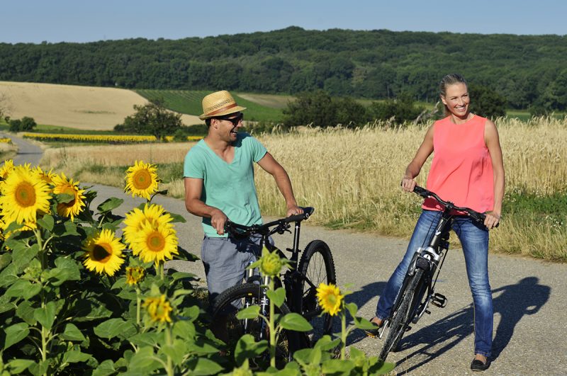 Bicyklovanie okolo Neziderského jazera. Foto: ©NTG_steve haider