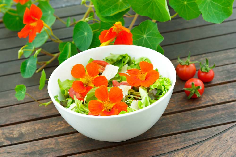 Kapucínka - jedlé sú kvety aj listy. Foto: Shutterstock