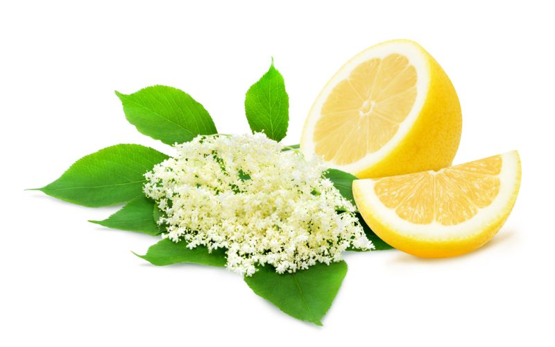 Baza spolu s vitamínom C sú vynikajúco podporia obranyschopnosť organizmu. Foto: Shutterstock