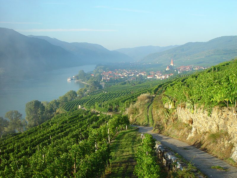Pohľad na Weissenkirchen vo Wachau. Foto: ©Österreich Wein Marketing GmbH/Egon Mark