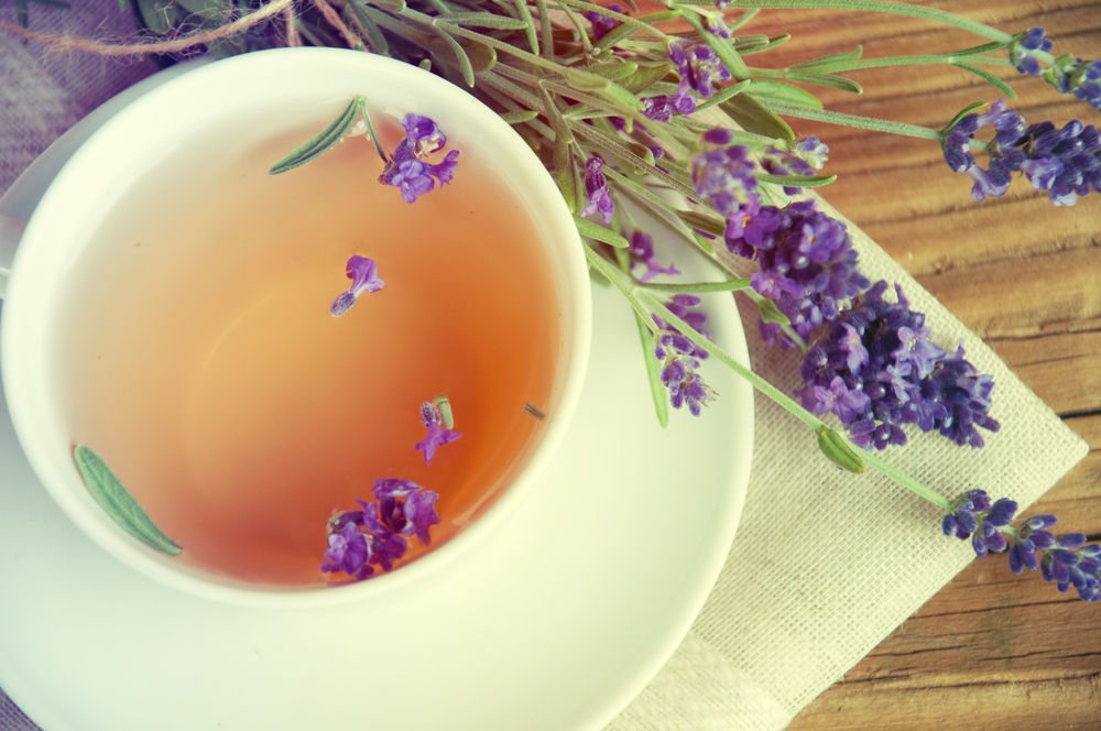 Levanduľový čaj - prírodný repelent. Foto: Shutterstock