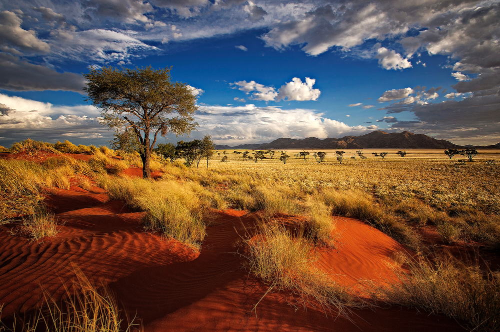 Afrika. Foto: Shutterstock