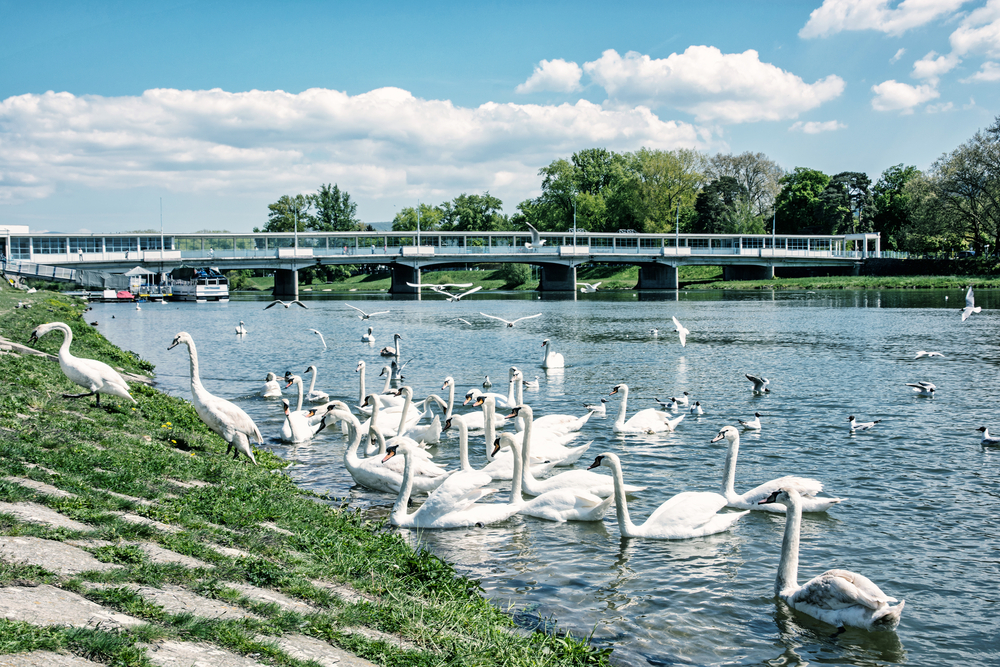 Na Piešťanský kúpeľný ostrov sa dostanete po Kolonádovom moste pre chodcov. Foto: Shutterstock