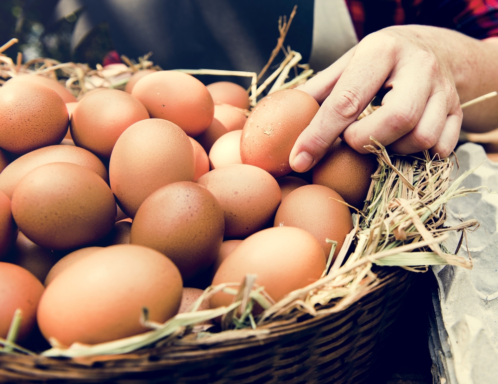 Vajcia na kosti. Foto: Shutterstock