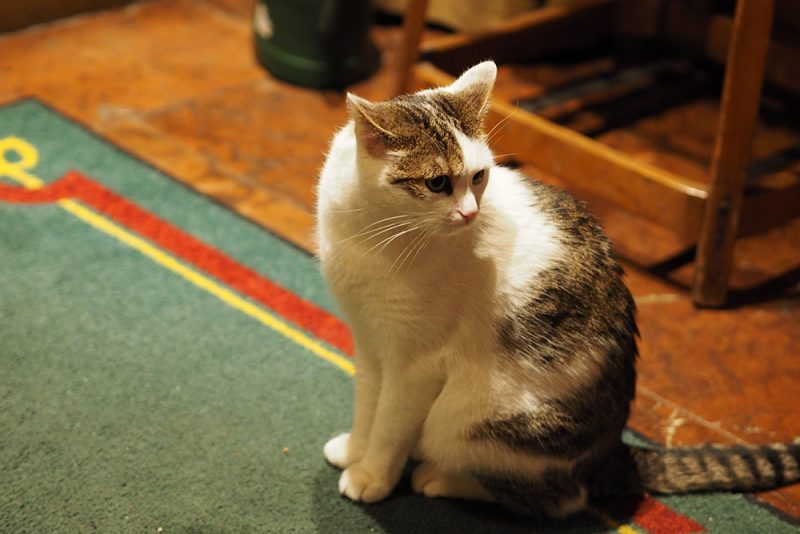 Romantik hotel v centre mesta Zell am See.