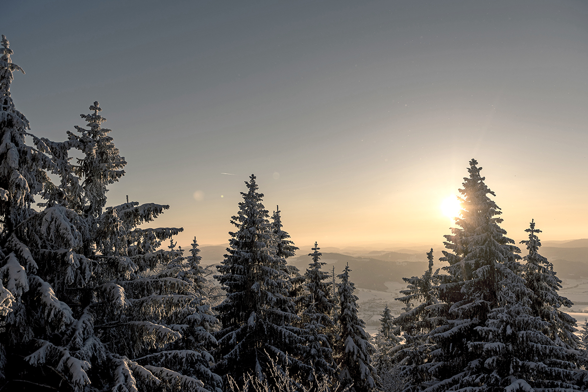 Zima na Šumave. Foto: Oberoesterreich Tourismus, David Lugmayr
