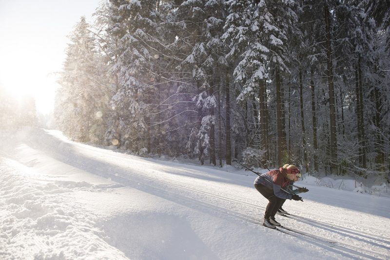 Bežkovanie, Böhmerwald(Šumava). Foto: Oberoesterreich Tourismus, David Lugmayr