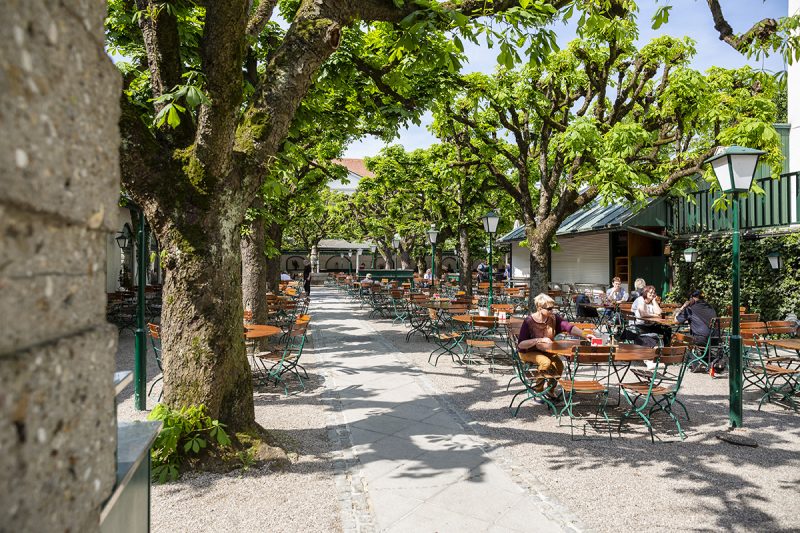 Ako inak, v Linzi majú aj krásne pivné záhrady. Táto sa nachádza vedľa Landstrasse. Foto: Martin Matula