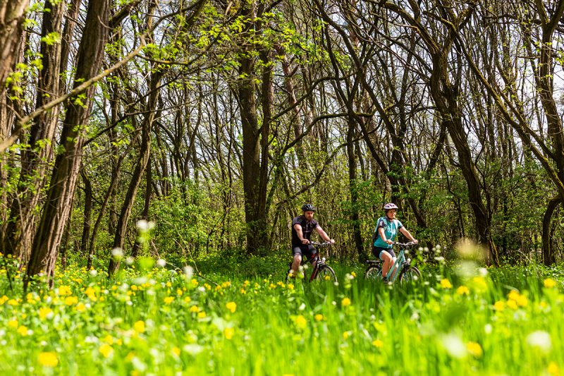 Záhorácke cyklotrasy nie sú náročné, pretože vedú po rovine. Foto: Miro Pochyba