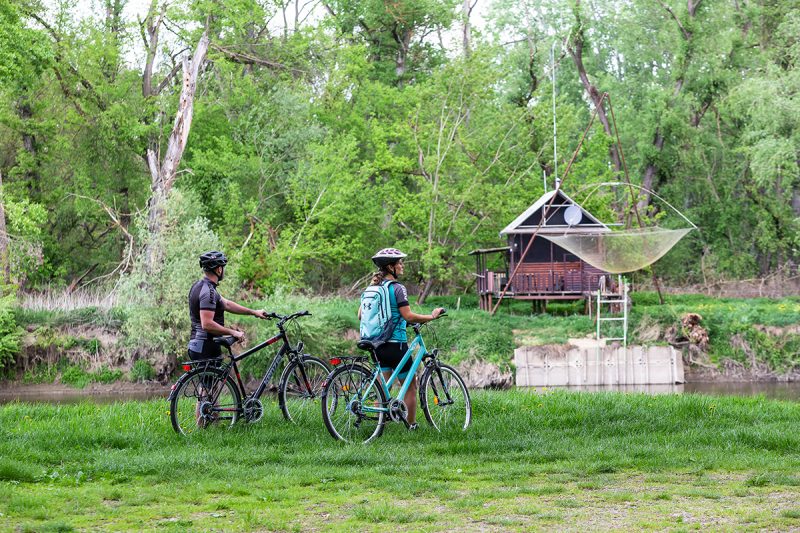 Moravská cyklocesta je jedným z úsekov dlhšej cyklotrasy EuroVelo 13. Foto: Miro Pochyba