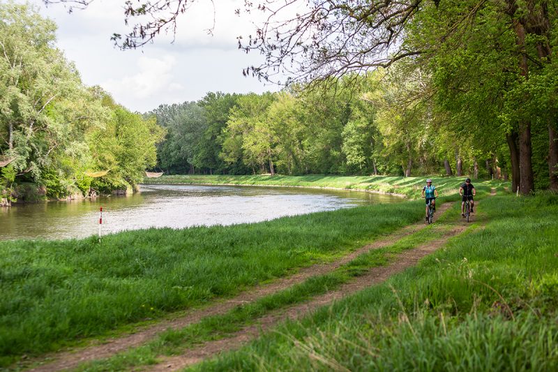 Nádherná cyklotrasa okolo rieky Moravy. Foto: Miro Pochyba
