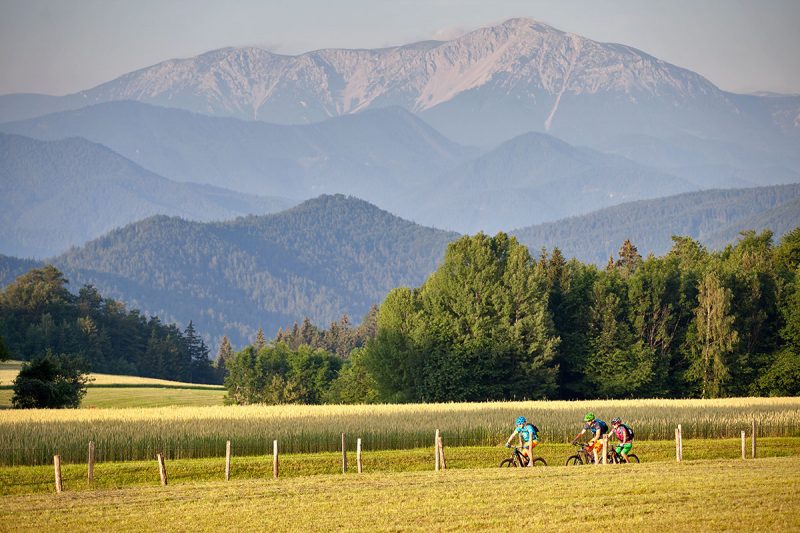 Piestingtalská cyklotrasa. Foto: (c) Wiener Alpen/Thomas Bartl, mountainbikeguides.com