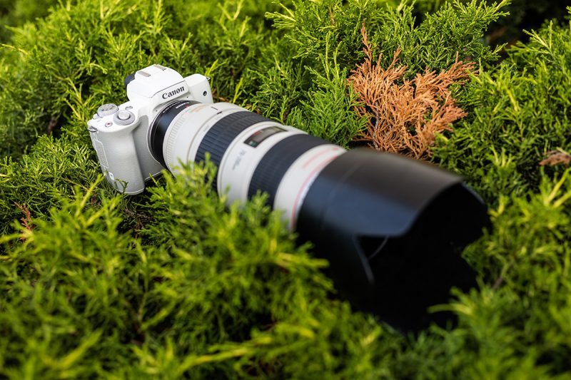 Bezzrkadlovka Canon EOS M50