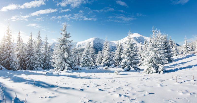 Lyžiarske stredisko Semmering má jedinečnú klímu. Foto: Shutterstock