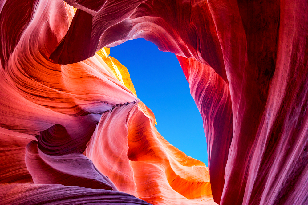 Canyon Antelope - Arizona. Foto: Shutterstock