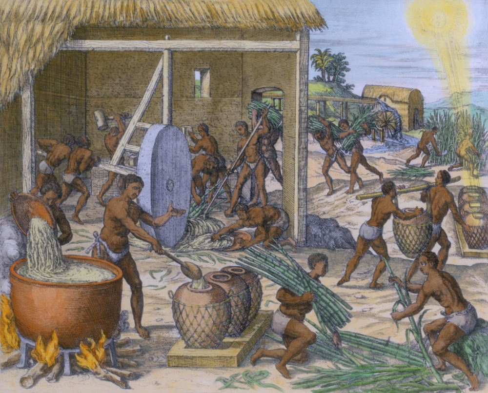 Africkí otroci spracovávajú cukrovú trstinu na Karibskom ostrove Hispaniola, 1595.