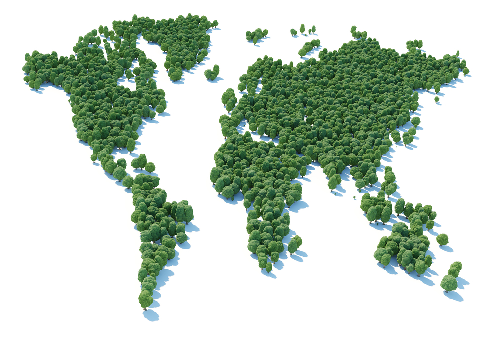 Ťažko si predstaviť, aký vplyv na nás majú stromy, ktoré rastú napríklad v Brazílii. Foto: Shutterstock