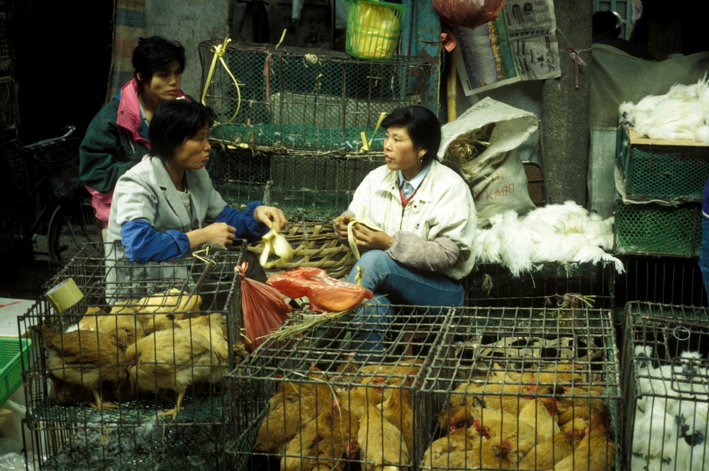 Trh so zvieratami v Honkongu, Koronavírus. Foto: Shutterstock