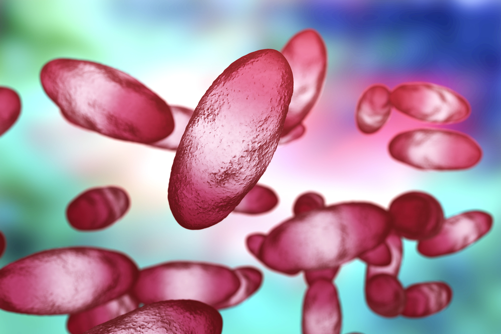 Baktéria Yersinia pestis sa na ľudí prenášala uhryznutím bĺch, ktoré žili v kožuchu potkanov. Foto: Shutterstock