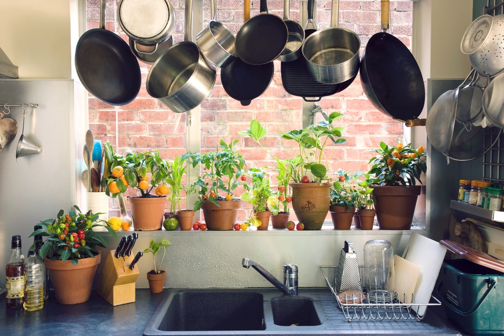 Aj v malej kuchyni si viete parapet prečarovať na zahrádku plnú byliniek. Foto: Shutterstock