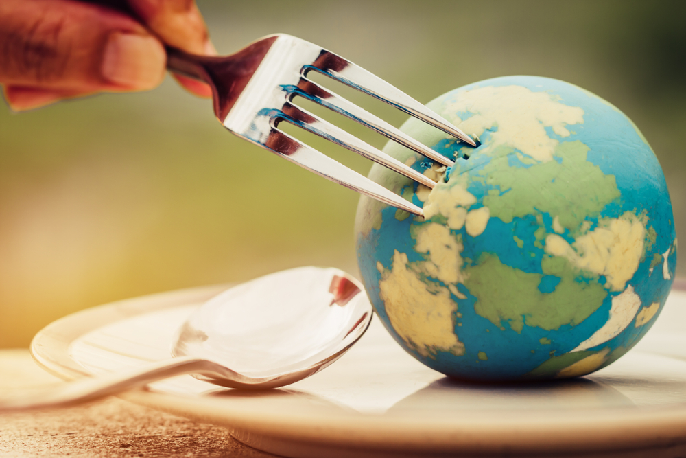Medzinárodné jedlá. Foto: Shutterstock