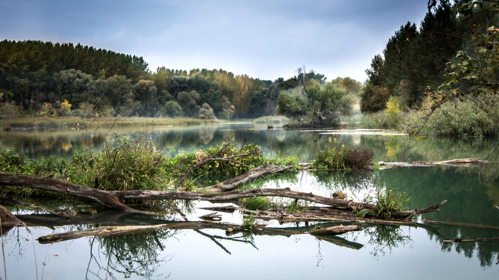 Dunajské luhy. Foto: Shutterstock
