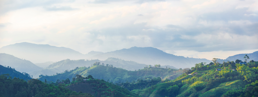 Výhľad na kávovníkové plantáže v Kolumbii. Foto: Shutterstock