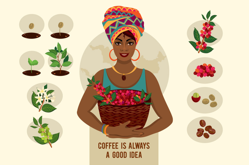 Ženy vo svete kávy. Foto: Shutterstock