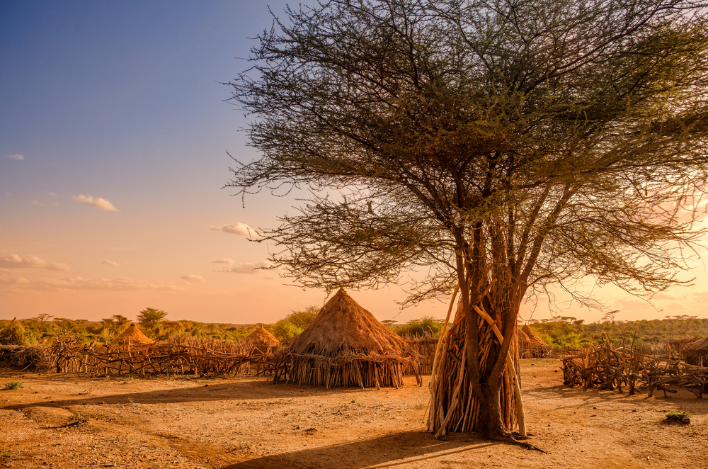 Afrika. Foto: Shutterstock