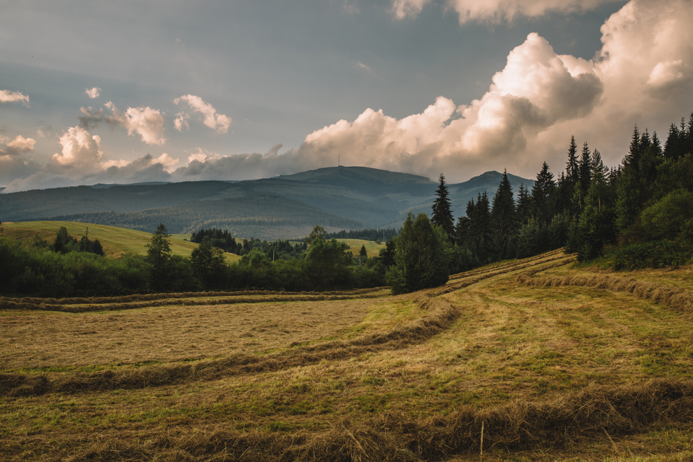 Nízke Tatry Kráľova hoľa Národný Park. Foto: Shutterstock
