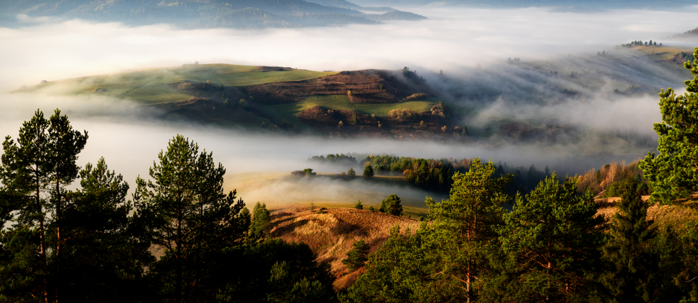 Pieniny v hmle, Slovensko. Foto: Shutterstock