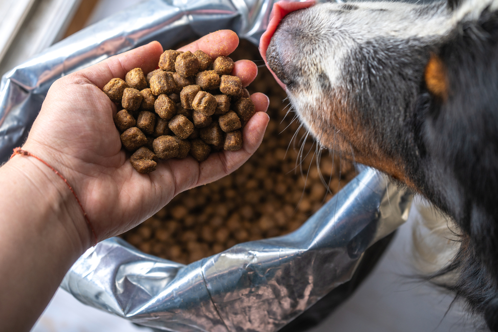 Nezabudnite, že aj vaše zvieratká potrebujú jesť. Foto: Shutterstock