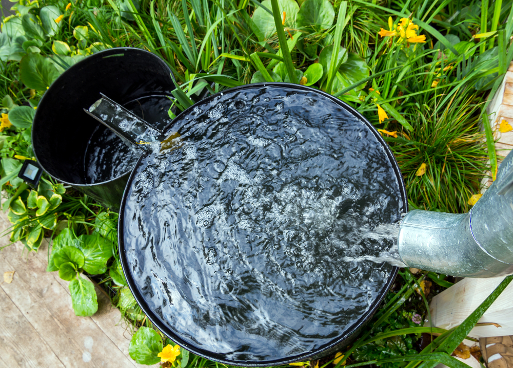 Dažďová voda sa dá používať na umývanie a polievanie. Foto: Shutterstock