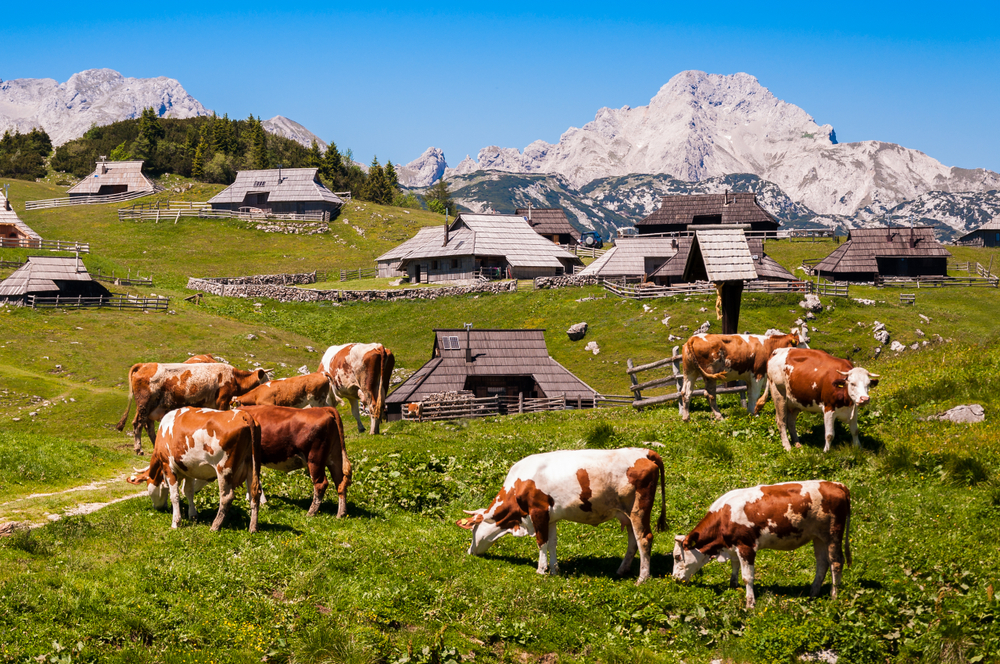 Alpy hory, Slovinsko, cestovanie Európa. Foto: Shutterstock