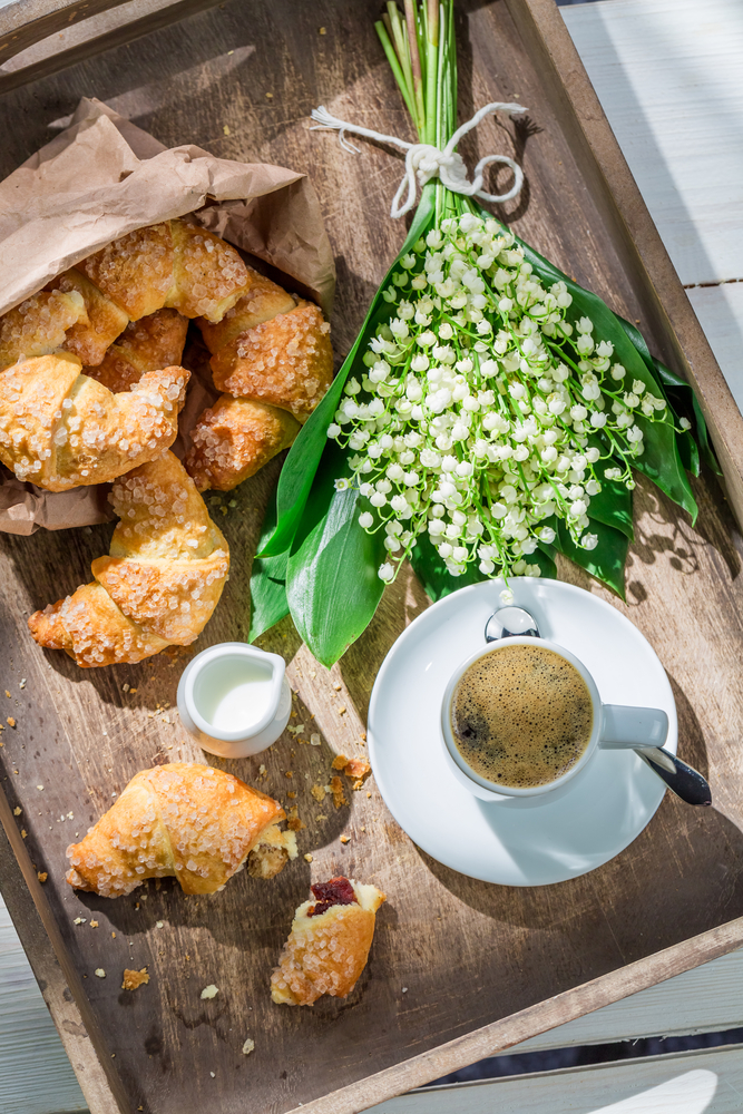 Konvalinka voňavá, jarné kvety. Foto: Shutterstock