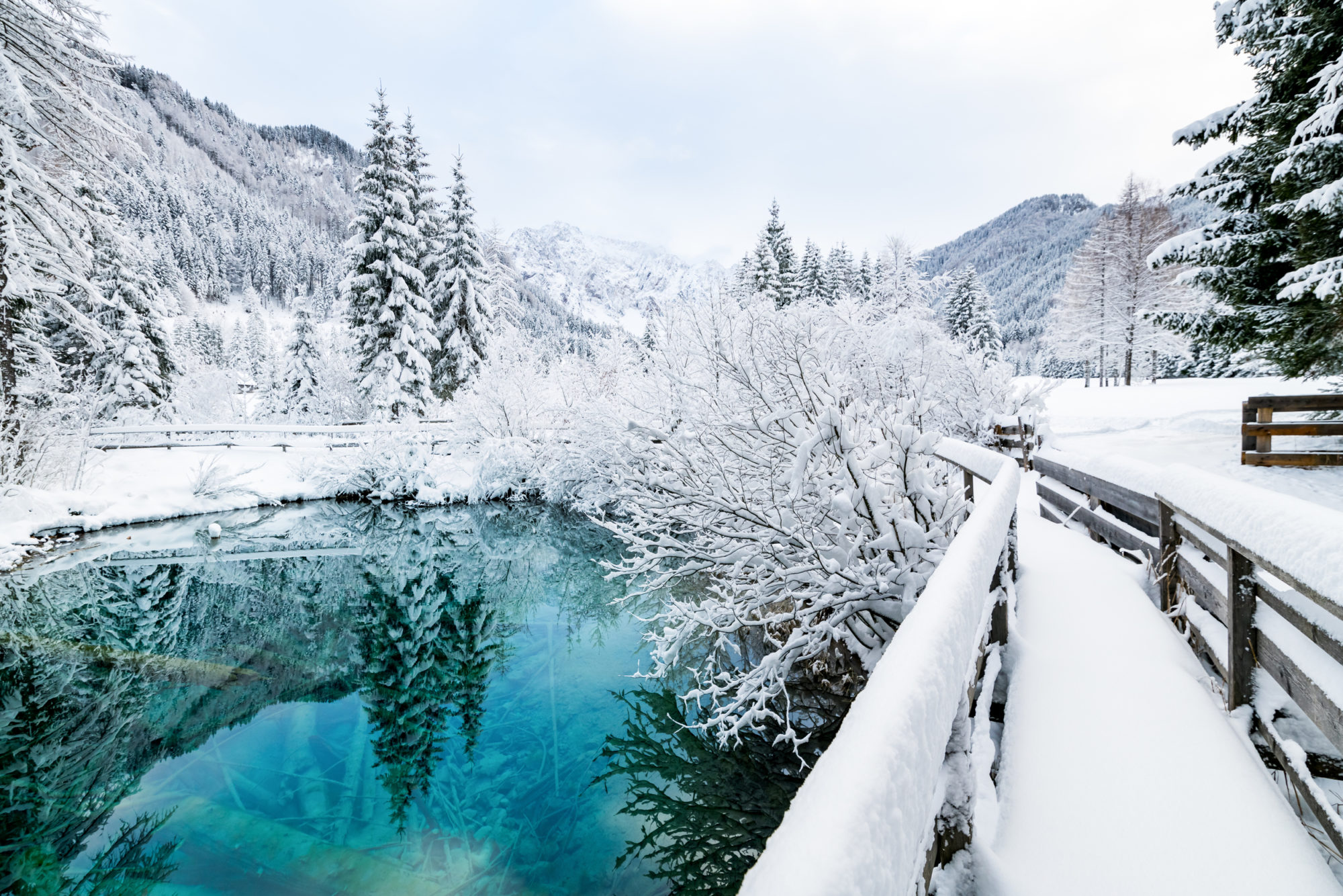 Zasnežené jazero v rakúskom Korutánsku.