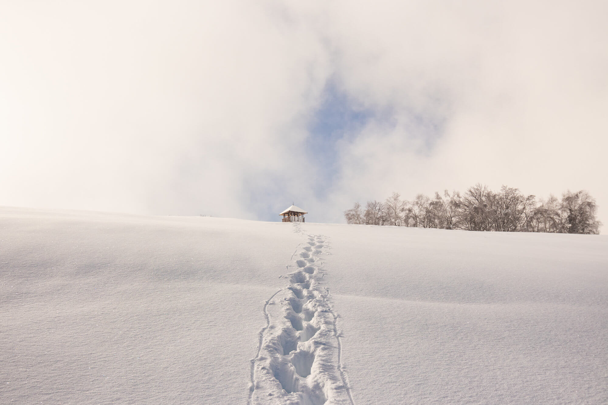 Canon zimná fotosúťaž