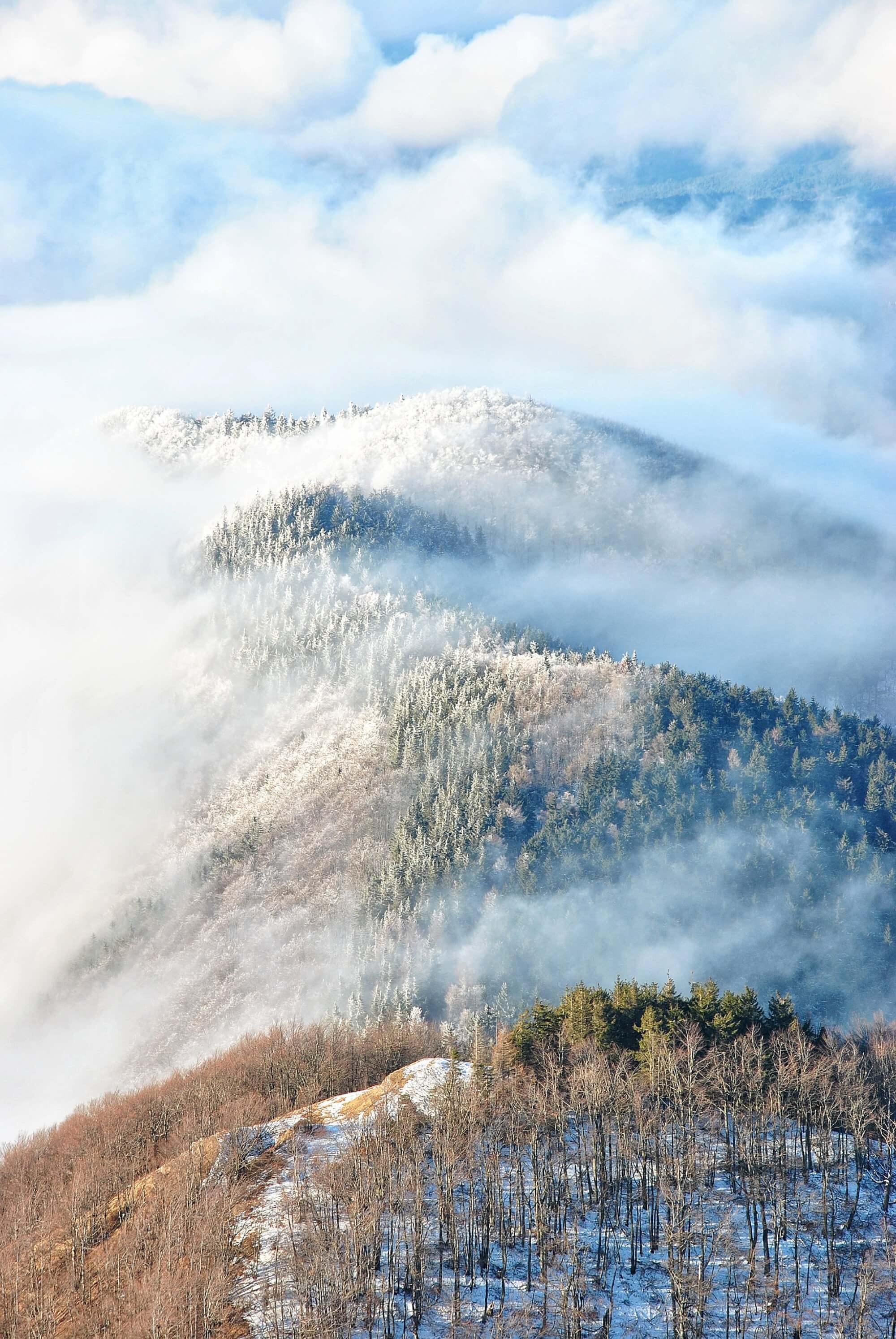 Canon zimná fotosúťaž