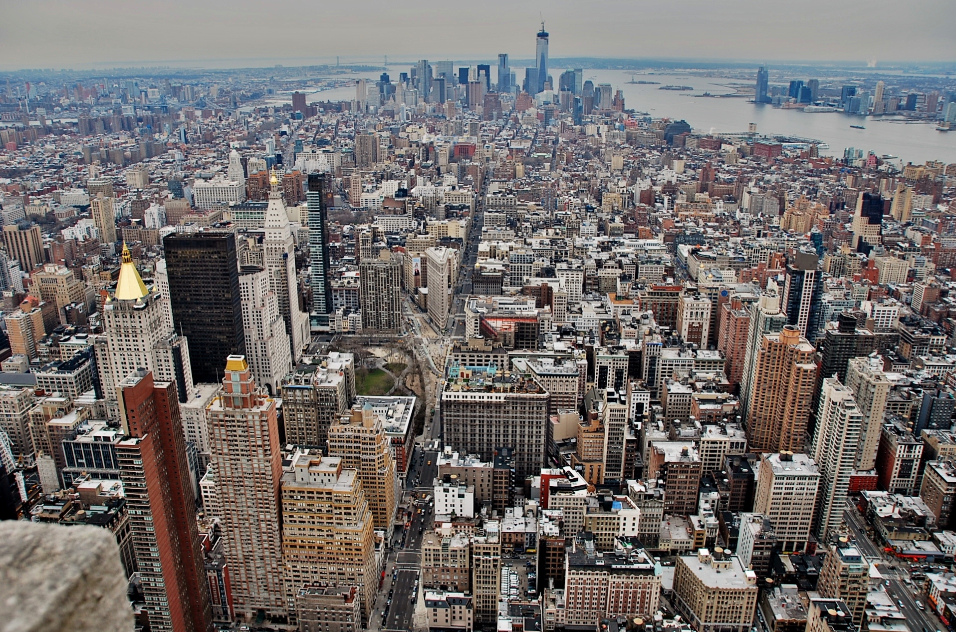 New York, USA, BUBO