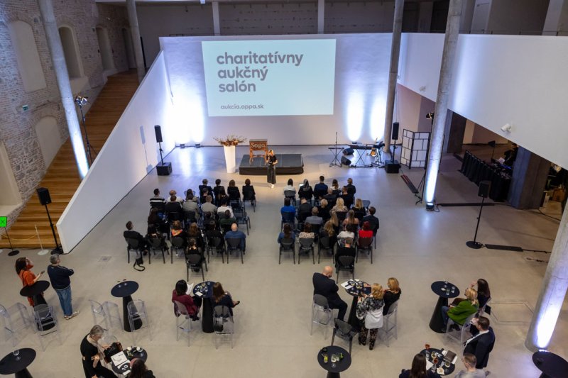 Charitatívny aukčný salón APPA