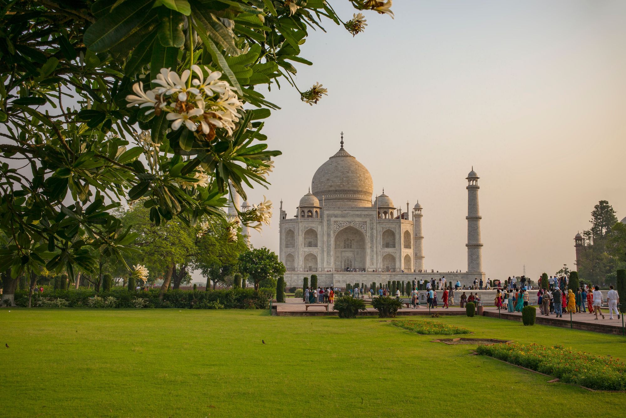 Taj Mahal, India, BUBO