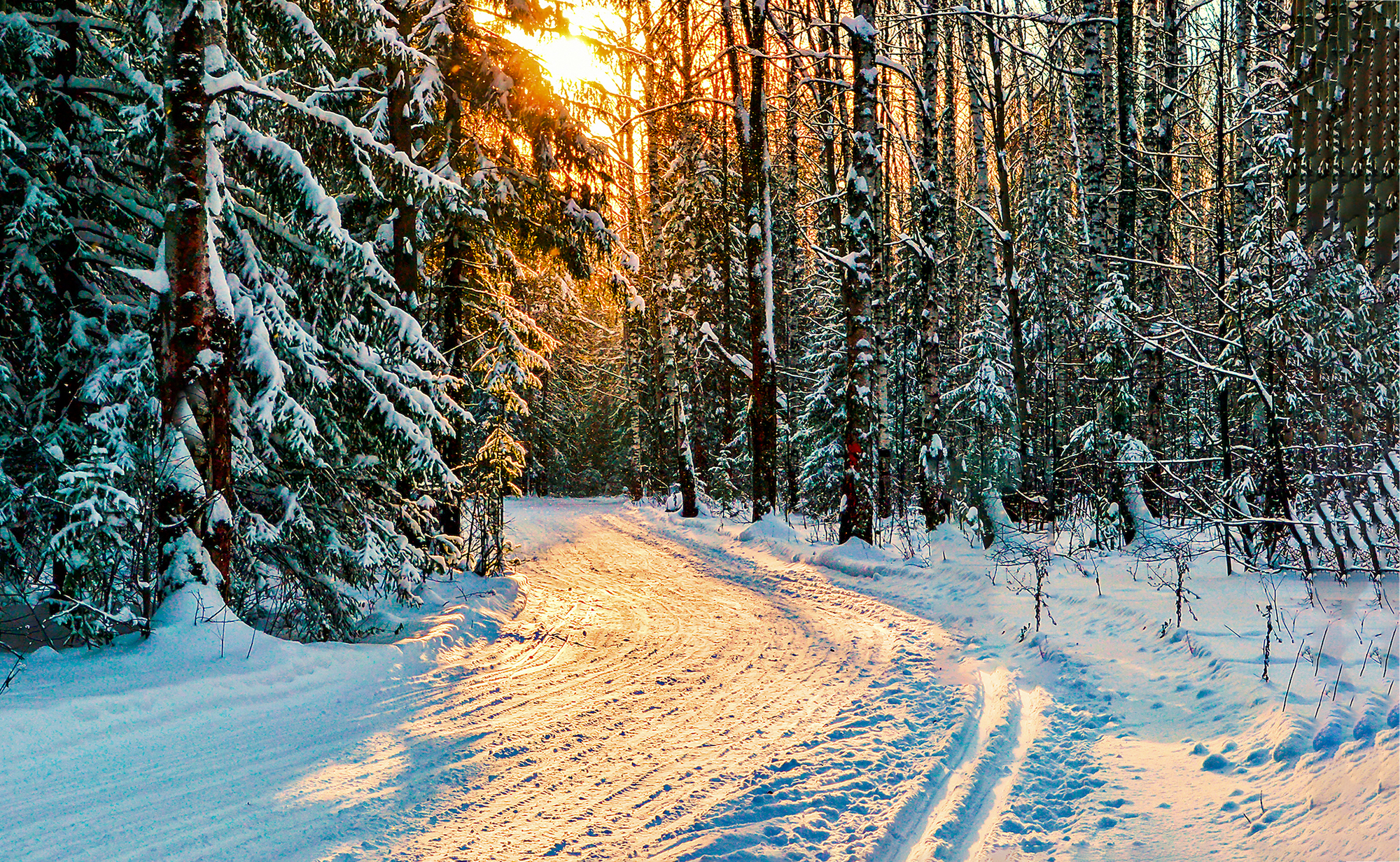 Prechádzka zimným lesom