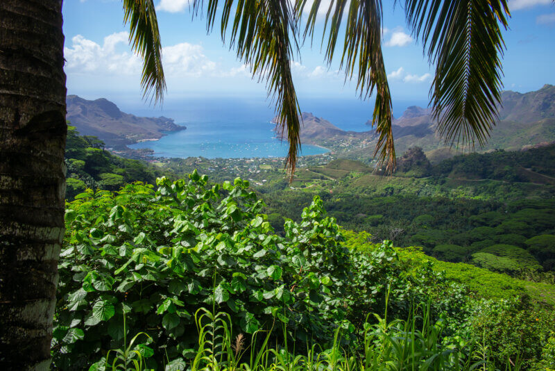 Markézy, Francúzska Polynézia, BUBO