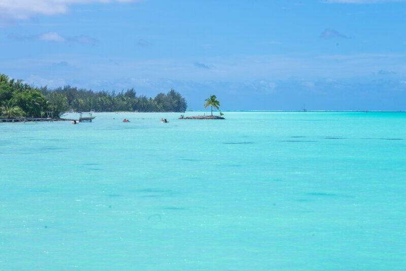 Tuamotu, Francúzska Polynézia, BUBO